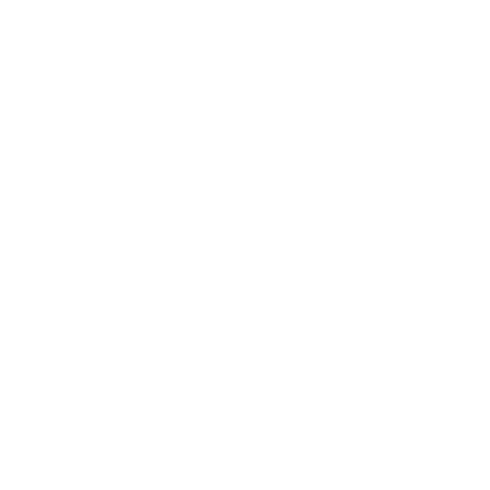 zebra_focus
