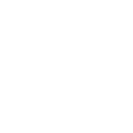 zebra_no_focus